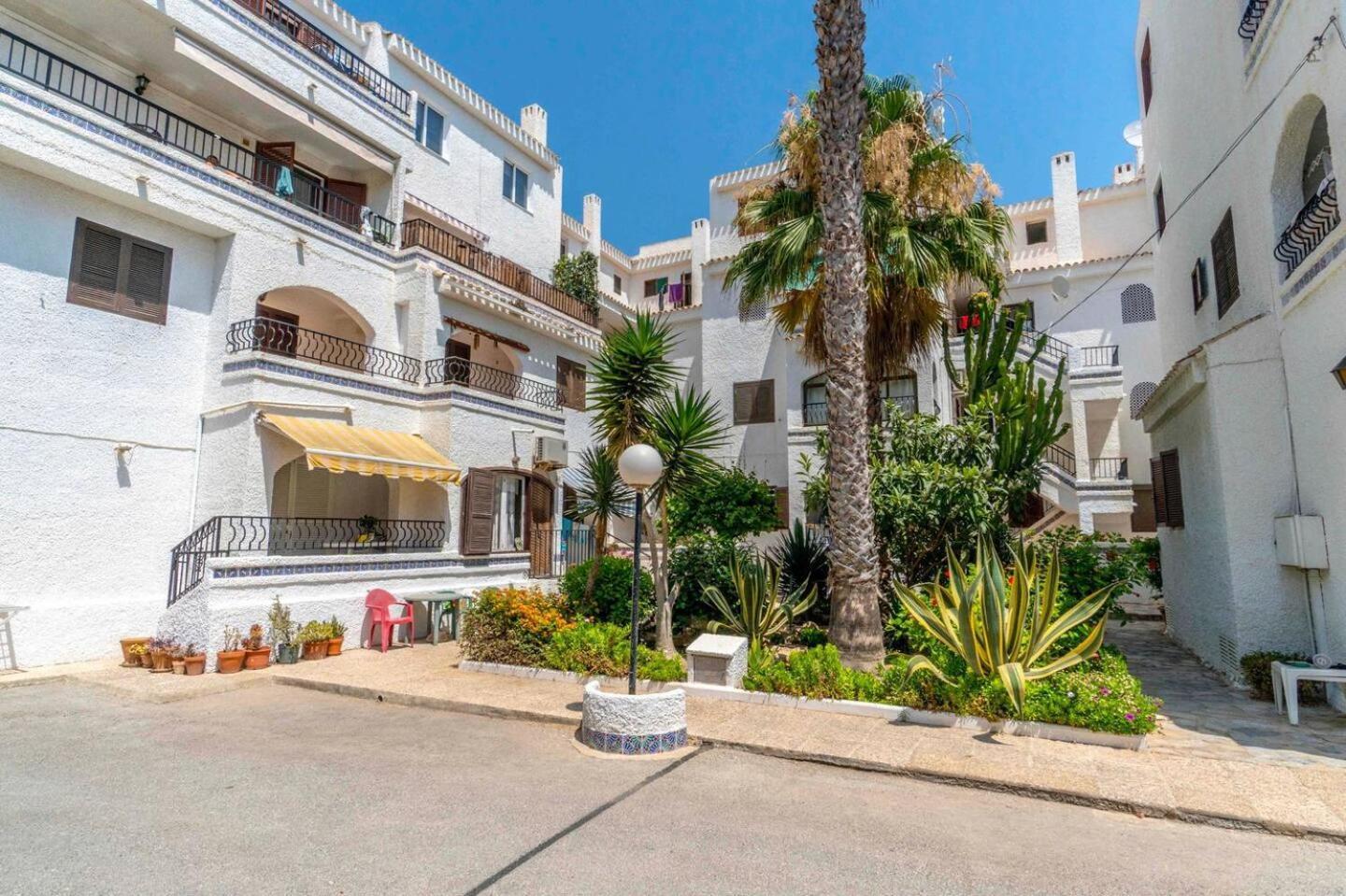 Playa Flamenca Splendid Apartment On The Beach Alicante Dış mekan fotoğraf